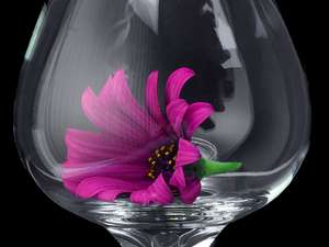 daisy purple glass