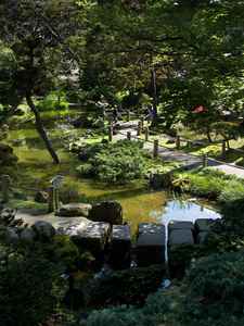 japanese tea garden 2