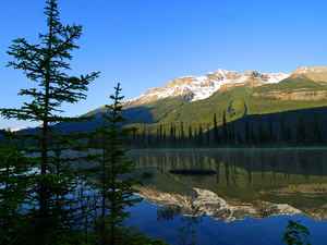 jasper national park