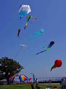 kites flying