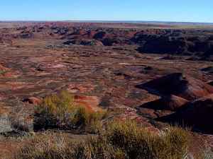 painted desert