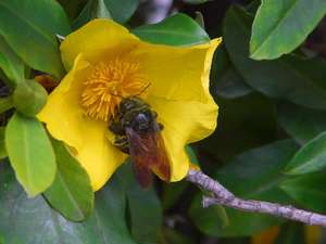 zoo 2 bg 042003