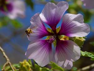 zoo 6 bg 042003