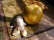 apple and garlic