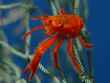 aquarium 4 bg 062902