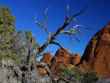 arches 8 bg 012003