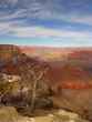 arizona