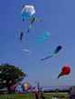 balboa 13 bg 041104