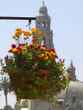 balboa 2 bg 052503