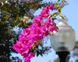 balboa 2 bg 091501