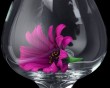 daisy purple glass