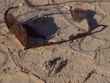desert 13 bg 061403