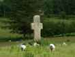 ireland 34