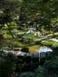 japanese tea garden 2