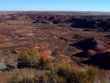 painted desert