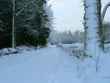 winter road