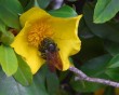 zoo 2 bg 042003