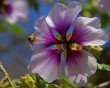 zoo 6 bg 042003