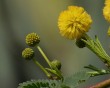 zoo 7 bg 102002