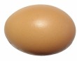 brown_chicken_egg_isolated.jpg