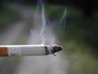 cigarette_burning.jpg