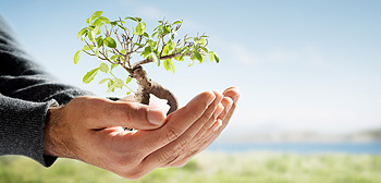 Resources For Personal Development