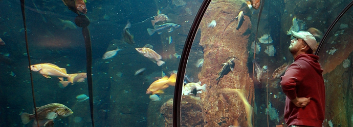 Passages of the Deep