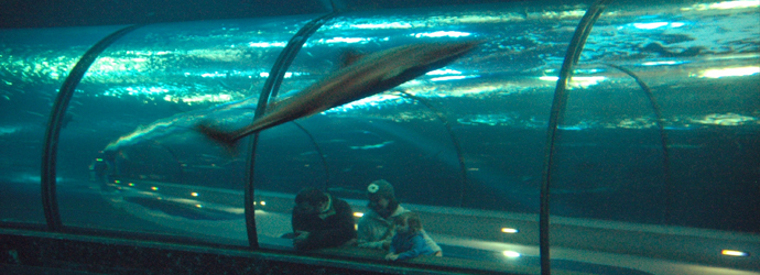 Passages of the Deep