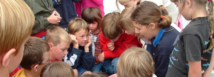 Teacher Open House at the Aquarium