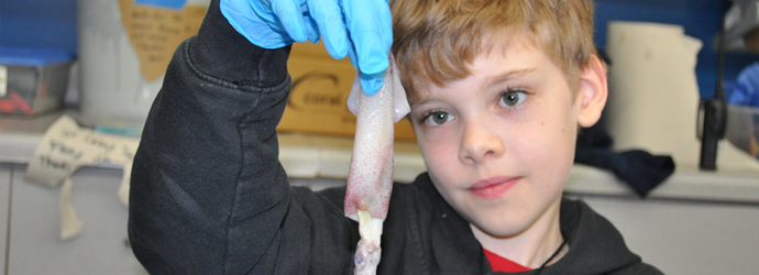 Home School Programs