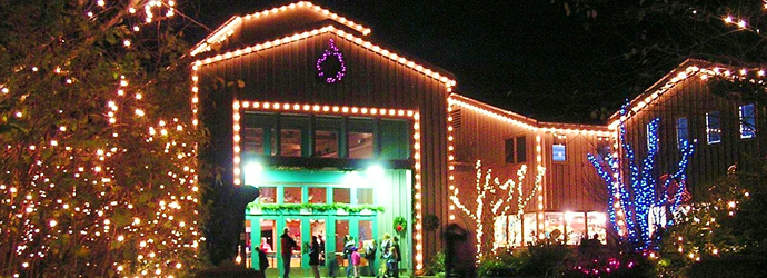 20th Annual Sea of Lights
