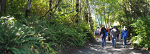 Aquarium Gardens