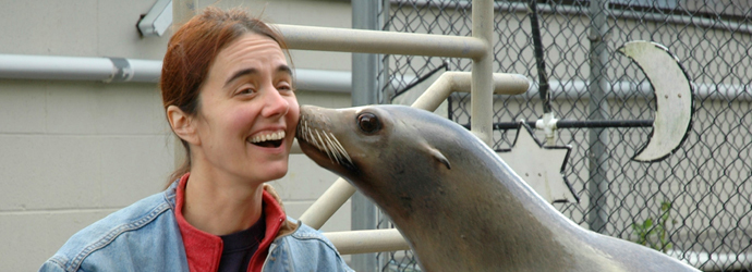 Valentine's Day Sea Lion Kisses