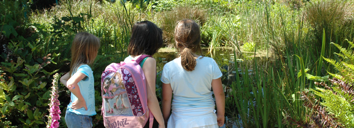 Plan A Field Trip