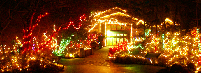 20th Annual Sea of Lights