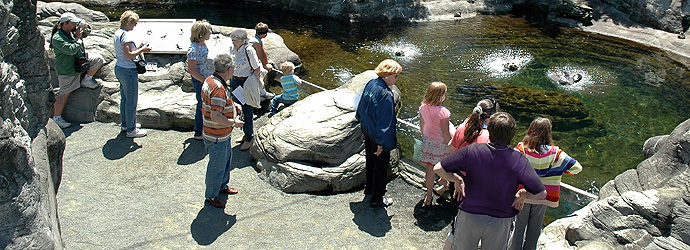 Sea Bird Aviary