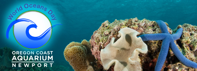 World Oceans Day