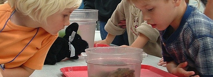 Preschool Programs