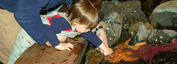Preschool Programs