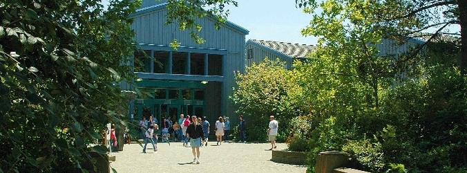 Hours & Admission
