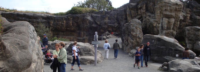 Planning Your Visit