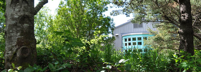 Aquarium Gardens