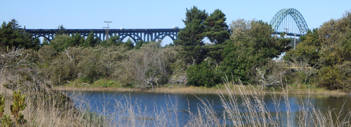 Estuary Trail