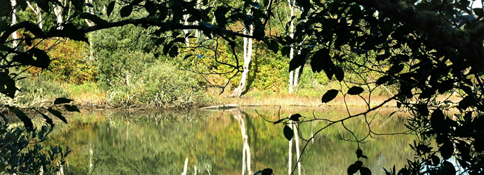 Estuary Trail