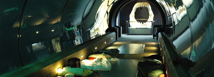 Father's Day Family Combination Sleepover