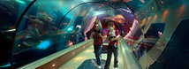 Passages of the Deep