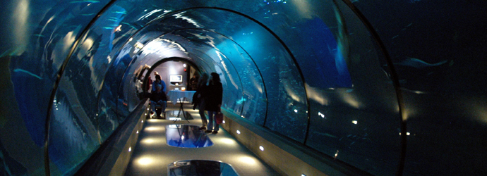 Passages of the Deep