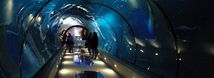 Passages of the Deep