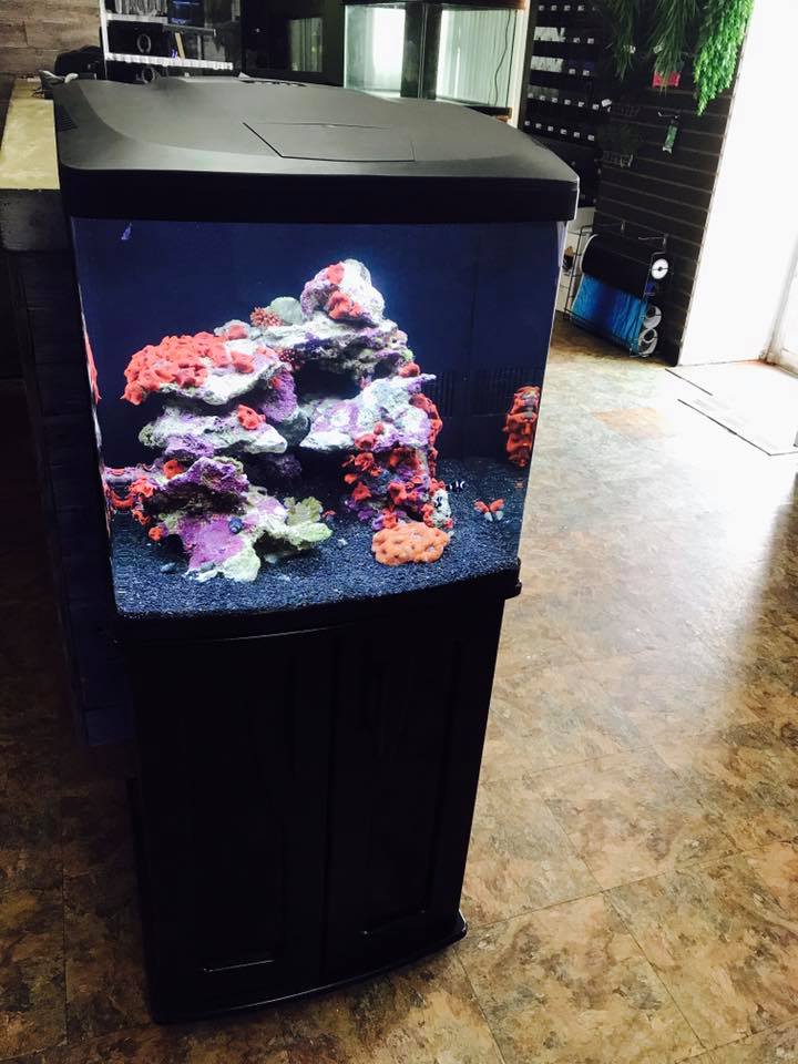 Coralife Biocube 32 River City Aquatics Austin Reef Club