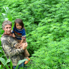 Troy_and_mong_in_the_hemp_72res_thumb